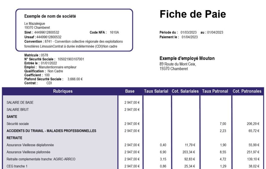 Comment obtenir un duplicata de fiche de paie ? - Générateur de fiches